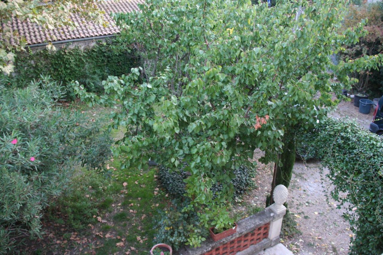 Le Mas Des Dames Appartement อาวีญง ภายนอก รูปภาพ
